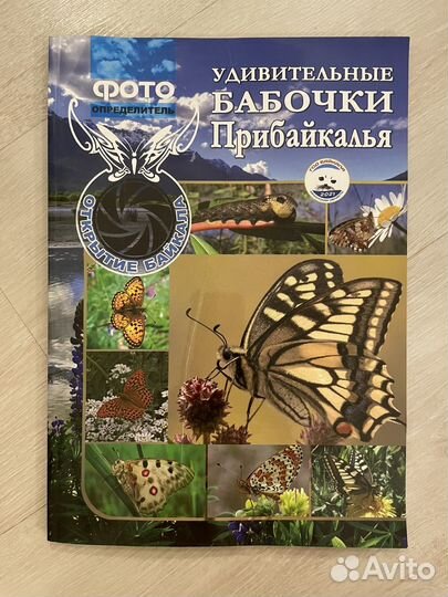 Удивительные бабочки Прибайкалья. Фотоопределитель