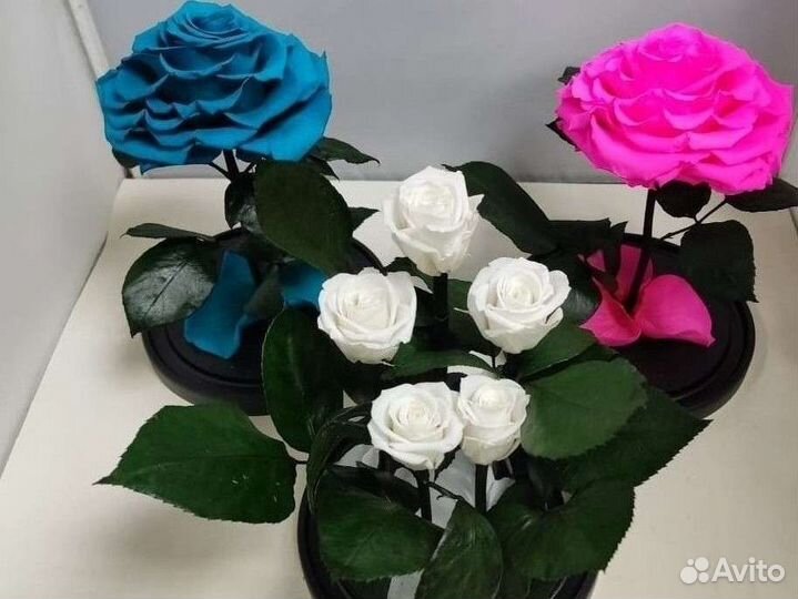 Подарок на новый год / Цветы