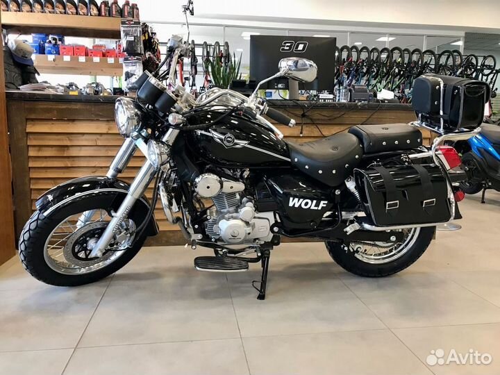 Motoland Wolf 250