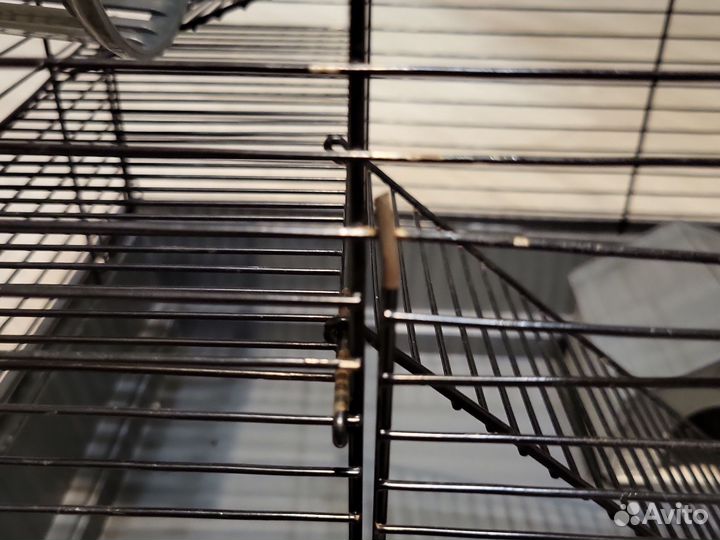 Клетка для грызунов бесплатно отдам