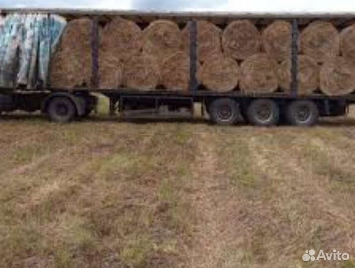 Сено Солома с доставкой