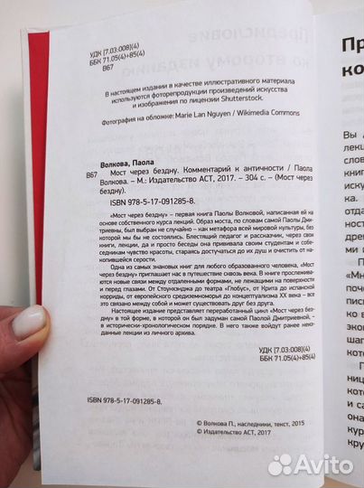 Паола Волкова Мост через бездну