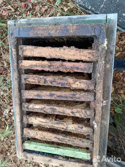 Улей для пчел бу