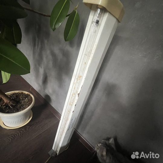 Кварцевая лампа для дезинфекции помещения