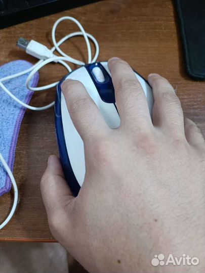 Большая компьютерная мышь(сувенирная)