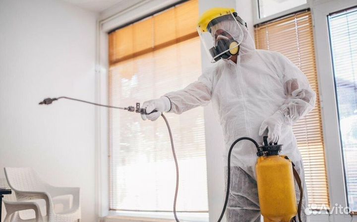 Средство для Уничтожения клопов тараканов плесени клещей