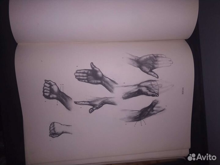 Анатомия для художников Барчаи