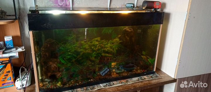 Аквариум с рыбками