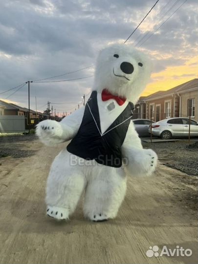 Смокинг - одежда для надувного ростового медведя