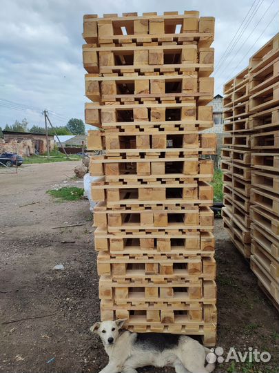 Продам поддоны деревянные