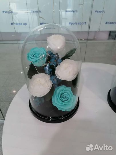 Вечная роза в колбе