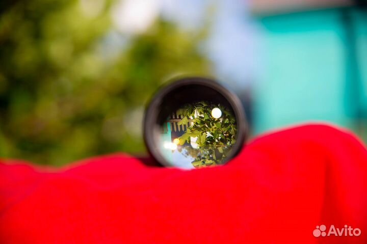 Портретный объектив Canon 135mm f/2 L