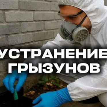 Устранение запахов / озонирование