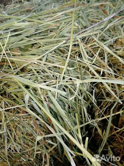 Сено Разнотравье