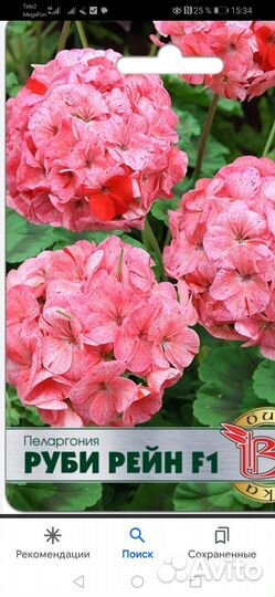 Пеларгония