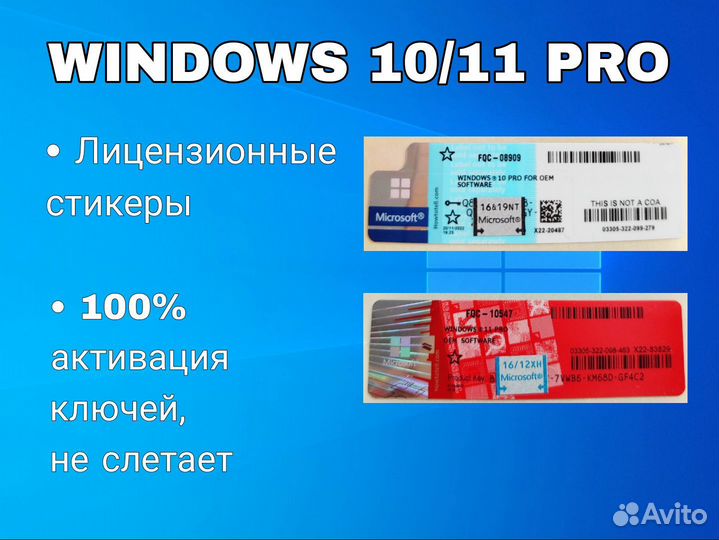Windows 10 Pro/Windows 11 Pro