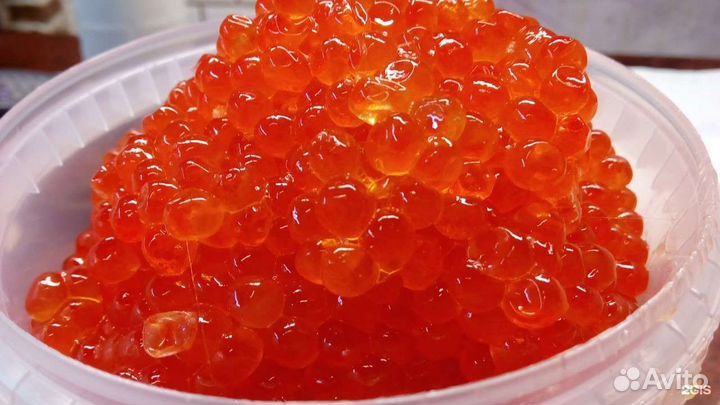 Икра красная кета