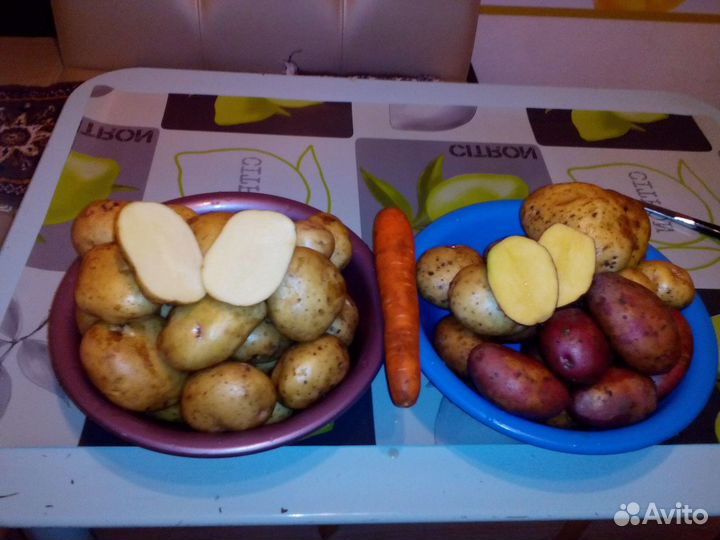 Продам картофель