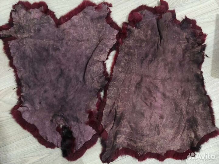 Шкурка животного кролик