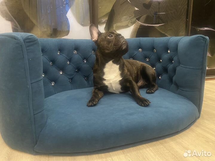 Лежанка диван для собак