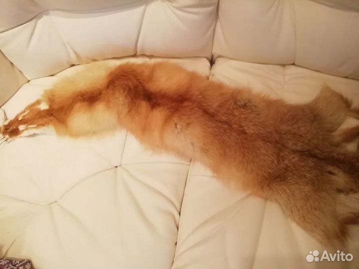 Шкурка лисья