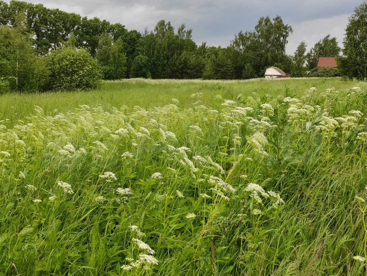 Участок 6,19 га (СНТ, ДНП)