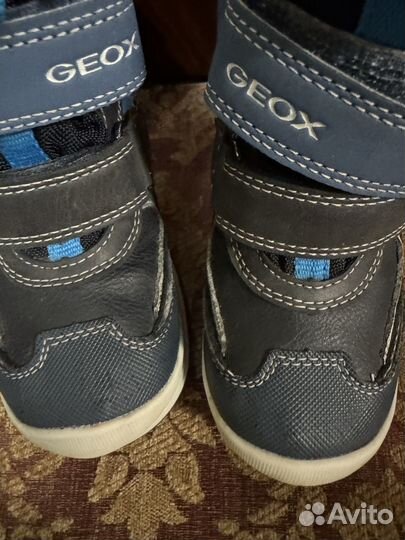 Ботинки детские Geox amphibiox