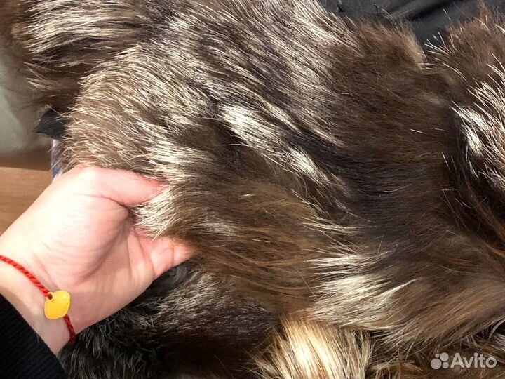 Мех чернобурка куски
