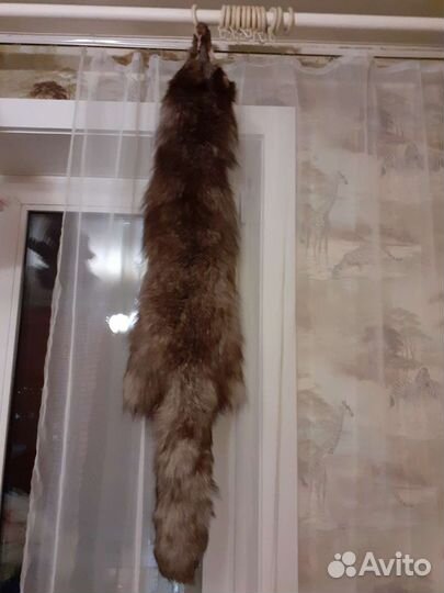 Шкурка мех чернобурки