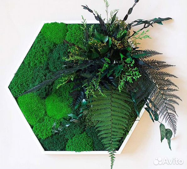 Панно со стабилизированным мхом и растениями