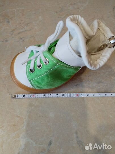 Ботинки для собак