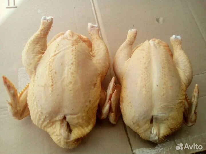 Домашний бройлер