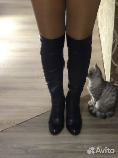 Сапоги-ботфорты Калипсо