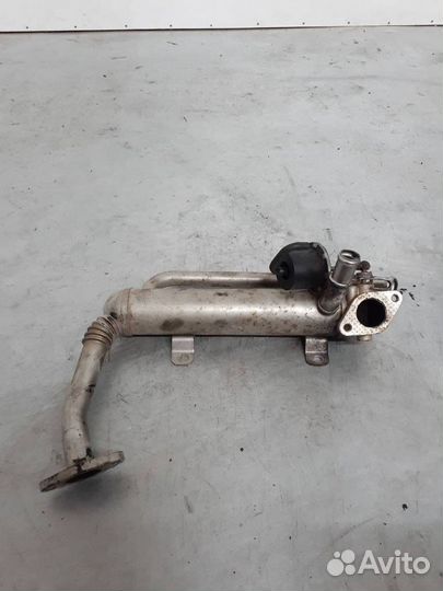 Радиатор EGR Volkswagen Passat B6 2008 03G131512