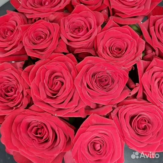 Розы / Букет роз / Белые розы / Красные розы
