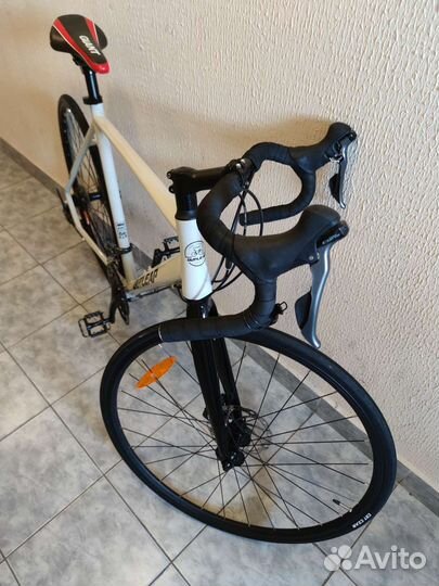 Outleap trackway 2021