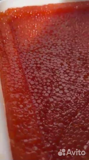 Красная икра горбуши и кеты