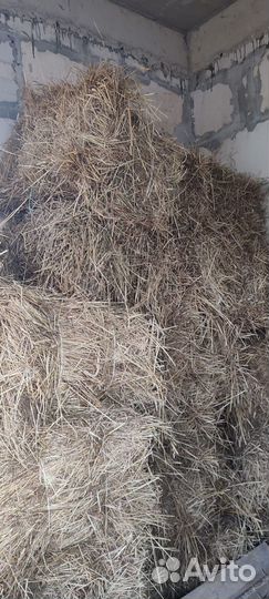 Сено в тюках