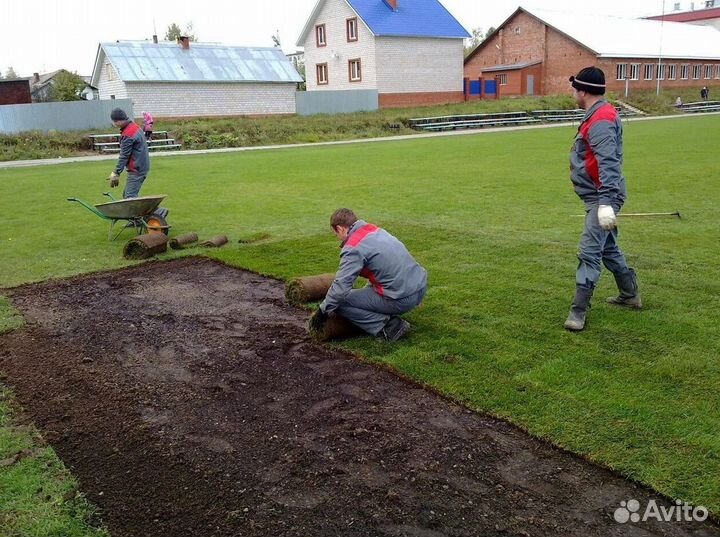 Газон рулонный