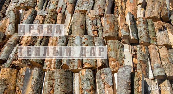 Дрова