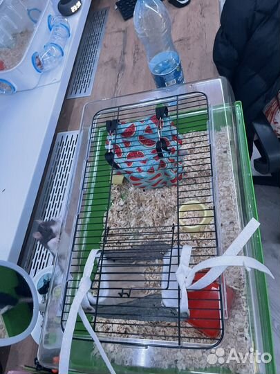 Клетка для грызунов