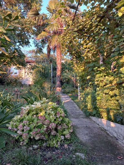 Комната 15 м², 2/3 эт.