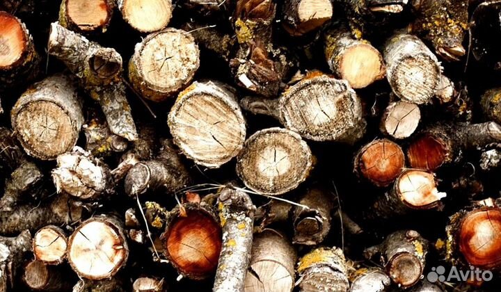 Дрова рядом