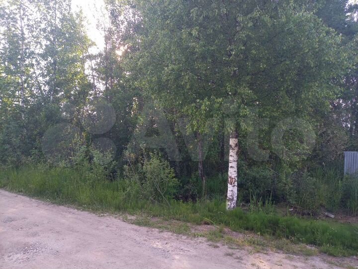 Участок 17,5 сот. (ИЖС)