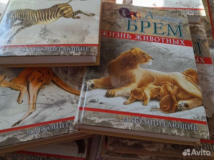 Книги о животных Альфред Брем