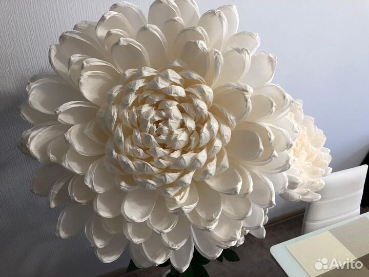 Ростовые цветы