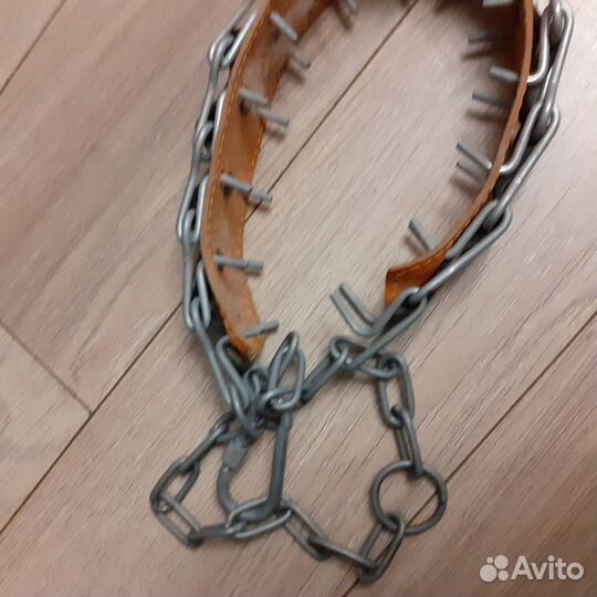Строгий ошейник для собак