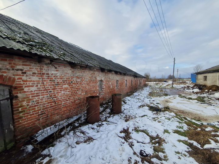 Участок 1,55 га (СНТ, ДНП)