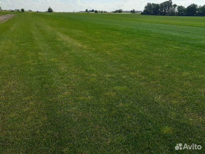 Укладка рулонного газона