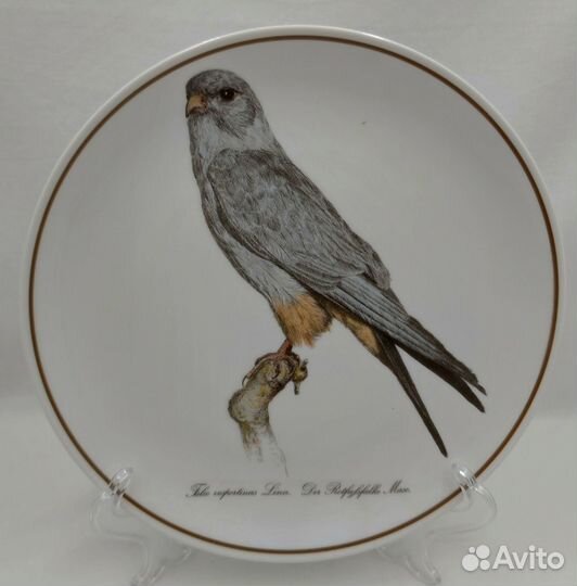Настенная декоративная тарелка * Кобчик* Мохноноги